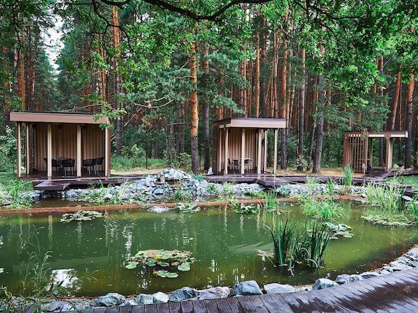 Территория, фото 1