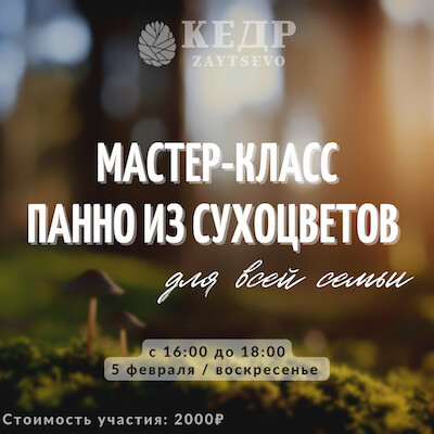 5 февраля: Панно из сухоцветов